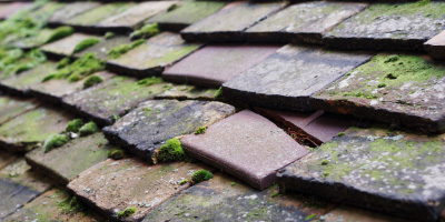 Brynglas roof repair costs